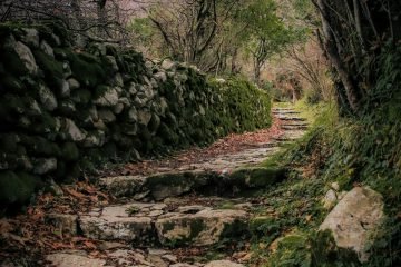 pexels-nikola-kojevic-1608684723-30511246-scaled.jpg