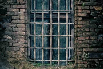 pexels-pixabay-235986-scaled.jpg